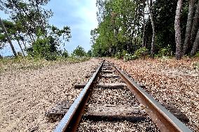 Illustration - Oleron Island