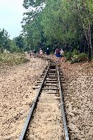 Illustration - Oleron Island