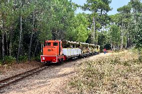 Illustration - Oleron Island