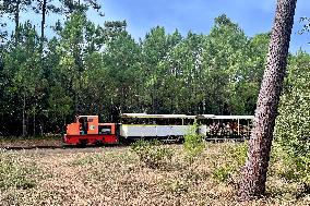 Illustration - Oleron Island