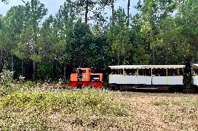 Illustration - Oleron Island