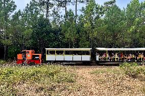 Illustration - Oleron Island