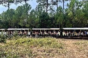 Illustration - Oleron Island