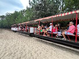 Illustration - Oleron Island