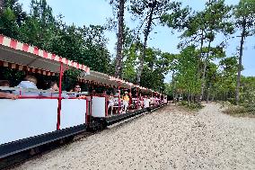 Illustration - Oleron Island