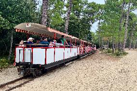 Illustration - Oleron Island