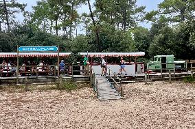 Illustration - Oleron Island