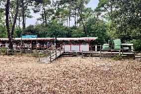 Illustration - Oleron Island