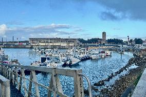 Illustration - Oleron Island