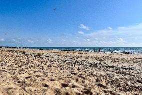 Illustration - Oleron Island