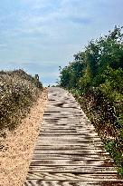 Illustration - Oleron Island