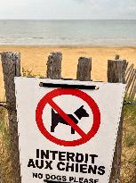 Illustration - Oleron Island