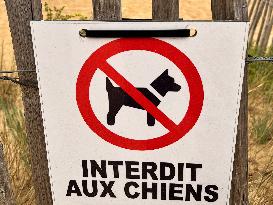 Illustration - Oleron Island