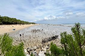 Illustration - Oleron Island