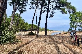 Illustration - Oleron Island