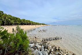 Illustration - Oleron Island