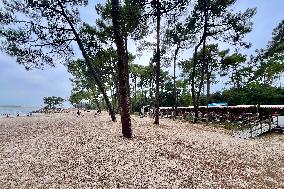 Illustration - Oleron Island