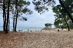 Illustration - Oleron Island