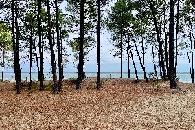 Illustration - Oleron Island