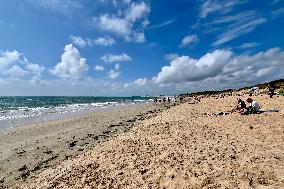 Illustration - Oleron Island
