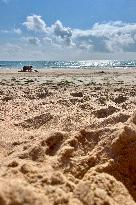 Illustration - Oleron Island