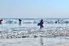 Illustration - Oleron Island