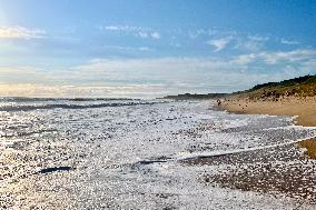 Illustration - Oleron Island