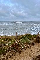 Illustration - Oleron Island