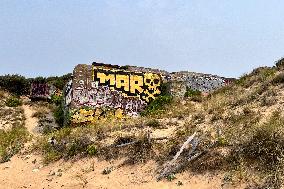 Illustration - Oleron Island