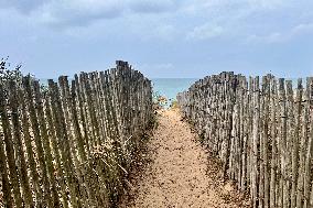 Illustration - Oleron Island