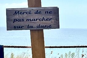 Illustration - Oleron Island