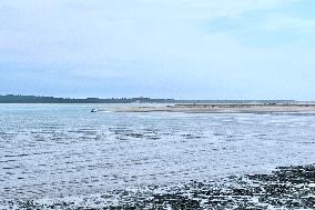 Illustration - Oleron Island