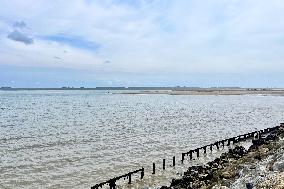 Illustration - Oleron Island