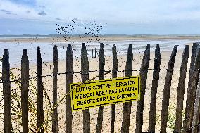 Illustration - Oleron Island