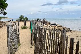 Illustration - Oleron Island