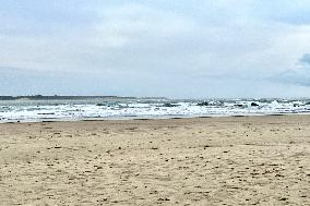 Illustration - Oleron Island