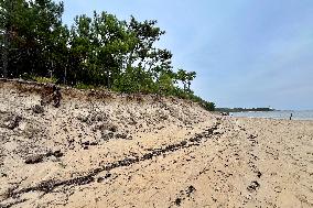Illustration - Oleron Island
