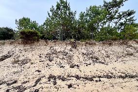 Illustration - Oleron Island