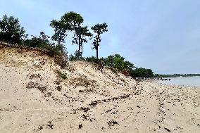 Illustration - Oleron Island