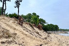 Illustration - Oleron Island