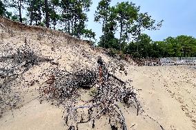 Illustration - Oleron Island