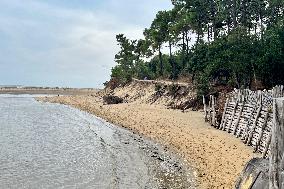 Illustration - Oleron Island
