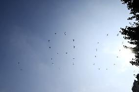 Citizens Watch Military Parade Aircraft in Beijing