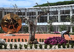 Vatican’s Ecological Project In The Pope’s Gardens in Castel Gandolfo