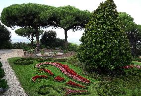Vatican’s Ecological Project In The Pope’s Gardens in Castel Gandolfo