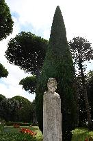 Vatican’s Ecological Project In The Pope’s Gardens in Castel Gandolfo