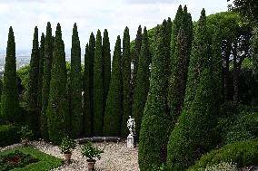Vatican’s Ecological Project In The Pope’s Gardens in Castel Gandolfo