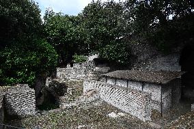 Vatican’s Ecological Project In The Pope’s Gardens in Castel Gandolfo
