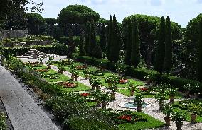 Vatican’s Ecological Project In The Pope’s Gardens in Castel Gandolfo