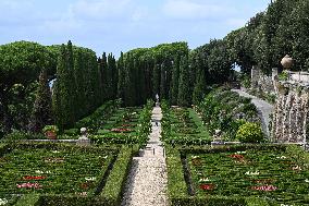 Vatican’s Ecological Project In The Pope’s Gardens in Castel Gandolfo